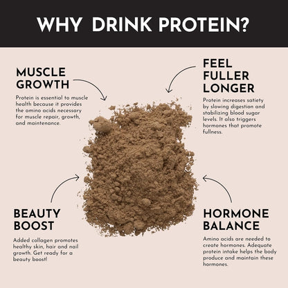 JUST INGREDIENTS Chocolate Protein Powder | 15 Servings | 100% Grass-Fed Whey | Non-GMO, Gluten-Free, No Artificial Flavors